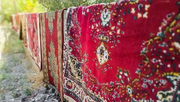 How Fast Do Outdoor Rugs Dry