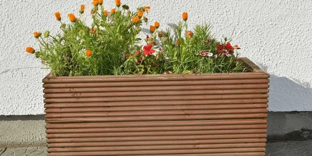 How Deep Should Outdoor Planters Be?