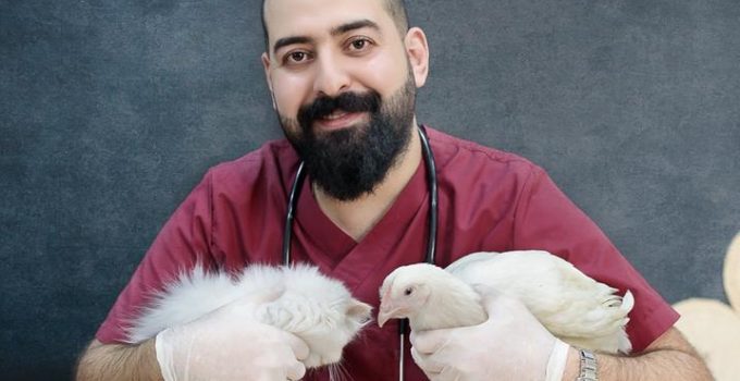 cats and rotisserie chicken