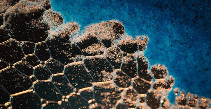 effectiveness of freezing bacteria