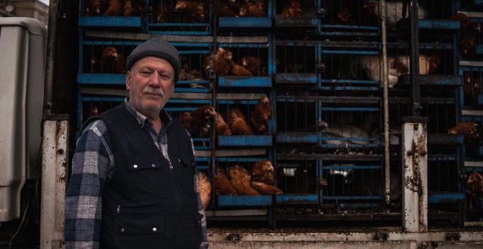 rotisserie chicken health discussion