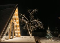 decorating tall outdoor trees