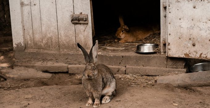 hutch designs for spaces