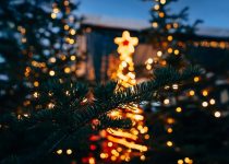 lighting outdoor tree guidelines