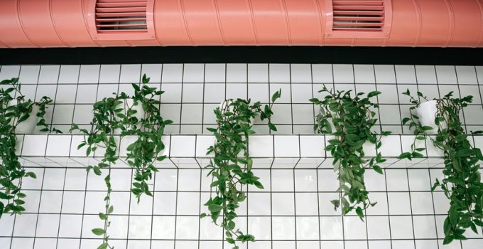 metallic pipe cleaner crafts