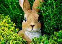 rabbit resistant annual plants