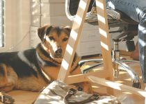stenciled hardwood floor design