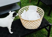 amish furniture enhances outdoor beauty