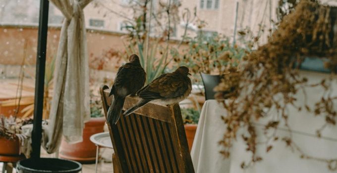 amish furniture enhances patios