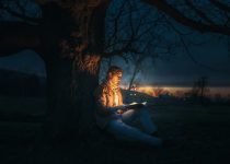 artistic landscape lighting integration