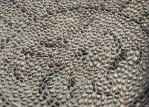 backyard stone mosaic project