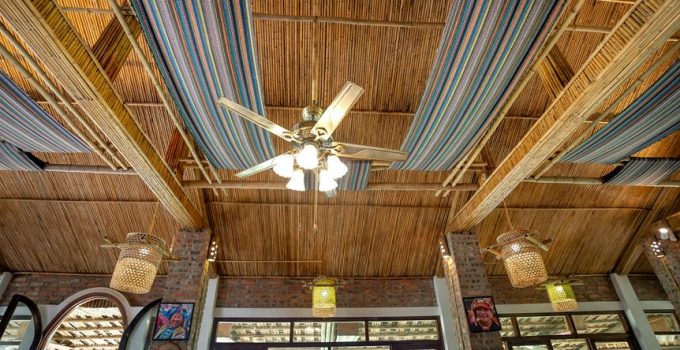 best ceiling fan color