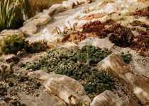best stones for gardens