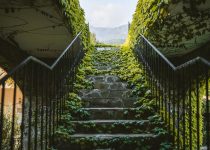 best stones for walkways