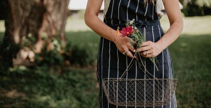 choosing a backyard basket stand