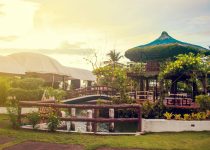 discreet natural landscape lighting