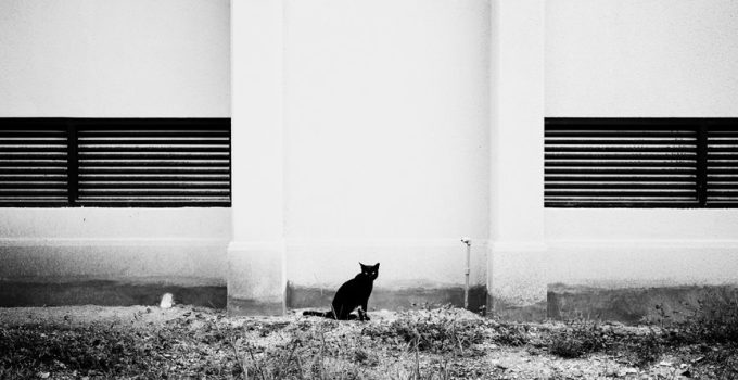 dynamic landscape lighting design