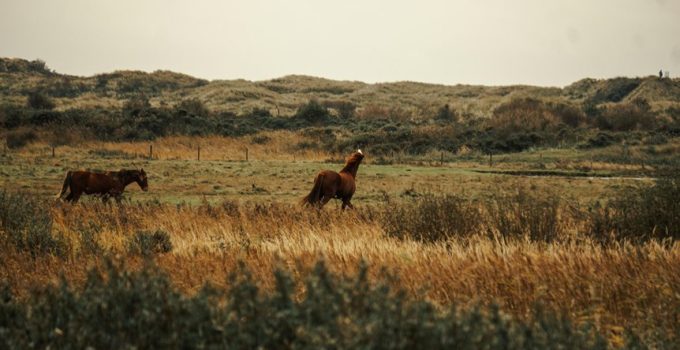 fabric starch wallpaper makeover