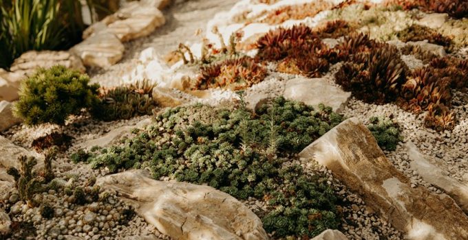 highlight garden beds stones