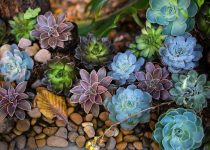 ideal stones for landscaping