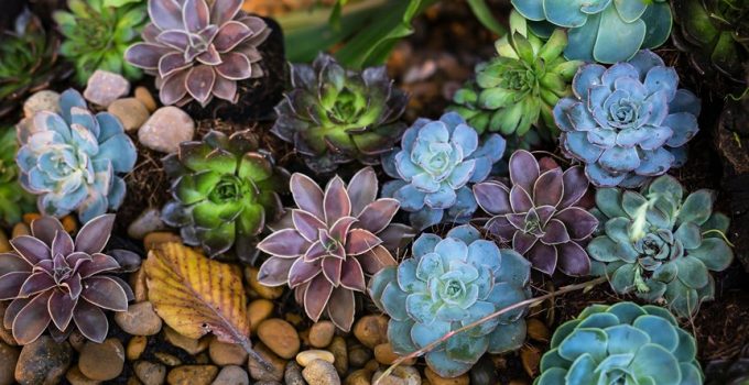 ideal stones for landscaping