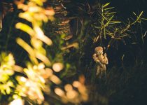 illuminate festive outdoor decor