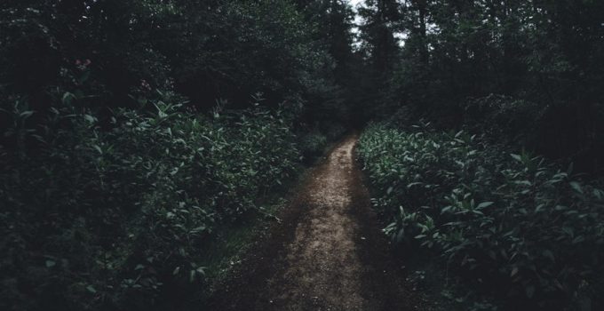 illuminate powdery pathways elegantly