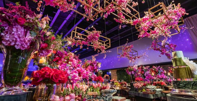 install garden party lighting