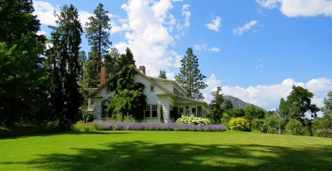 lavender benefits and care