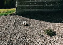 minimalist backyard stone options