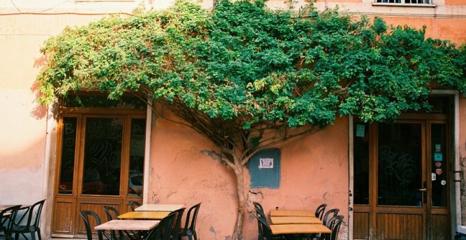 patio canopy enhances gatherings