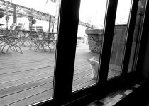 pet friendly outdoor deck design