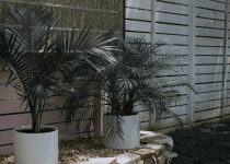 popular stones for patios