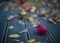 prevent outdoor wood decay