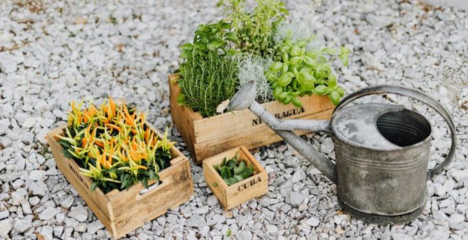 rustic backyard stone options