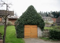 rustic charm backyard stones