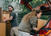 seamless backyard stone selection