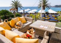 selecting ideal outdoor cushions