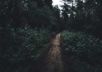selecting lighting for pathways