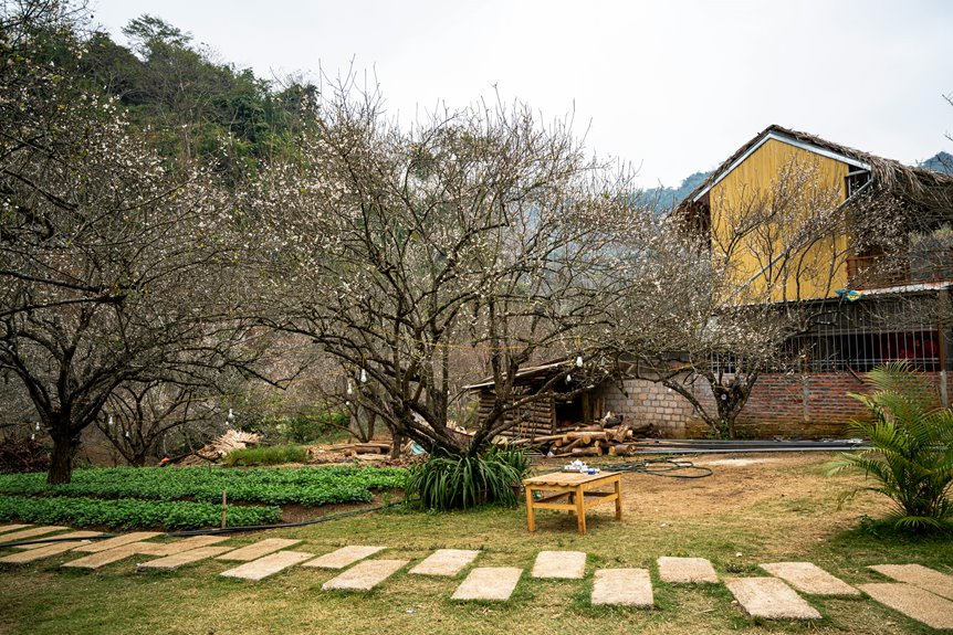 Picture of How Do I Choose Stones For A Textured Backyard Path? - Dream Outdoor Living