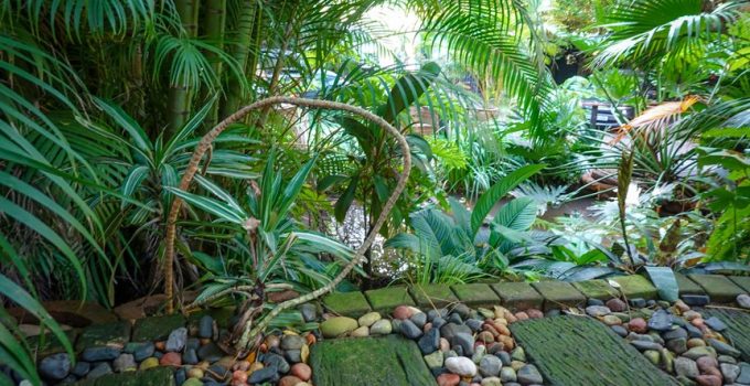 stones for backyard meditation