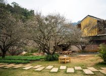 stones for outdoor pathways