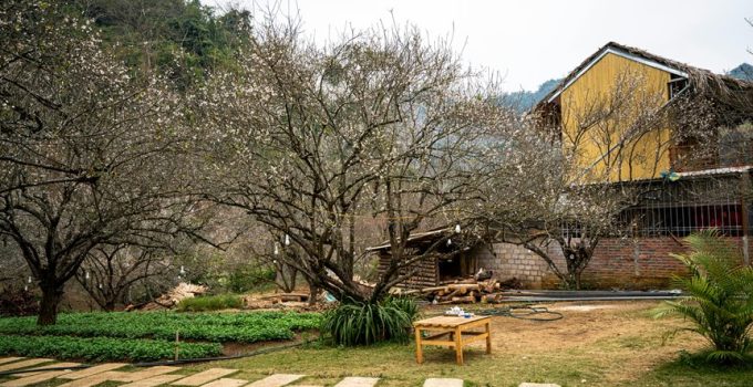 stones for outdoor pathways