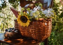 vibrant wicker garden decor