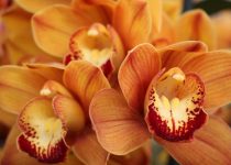 vintage faux flowers appeal