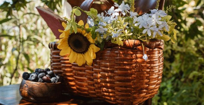 wicker enhances backyard aesthetics