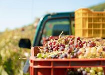 wine crate home d cor benefits
