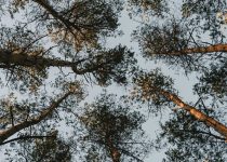 assessing tent canopy stability