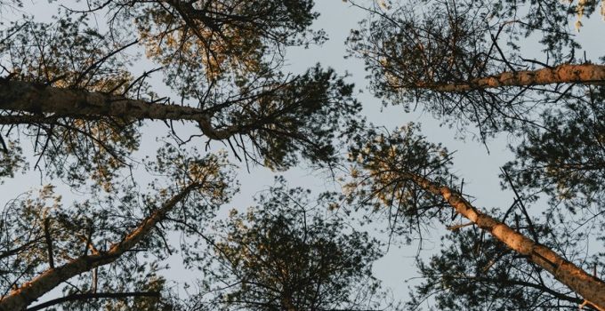 assessing tent canopy stability