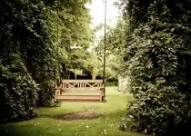 backyard entertaining shelter solution